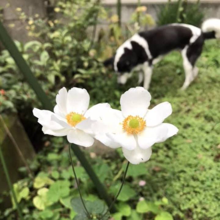 6c68703b 378a 4c9a bcfd bc5de7b506b6 1637912087181