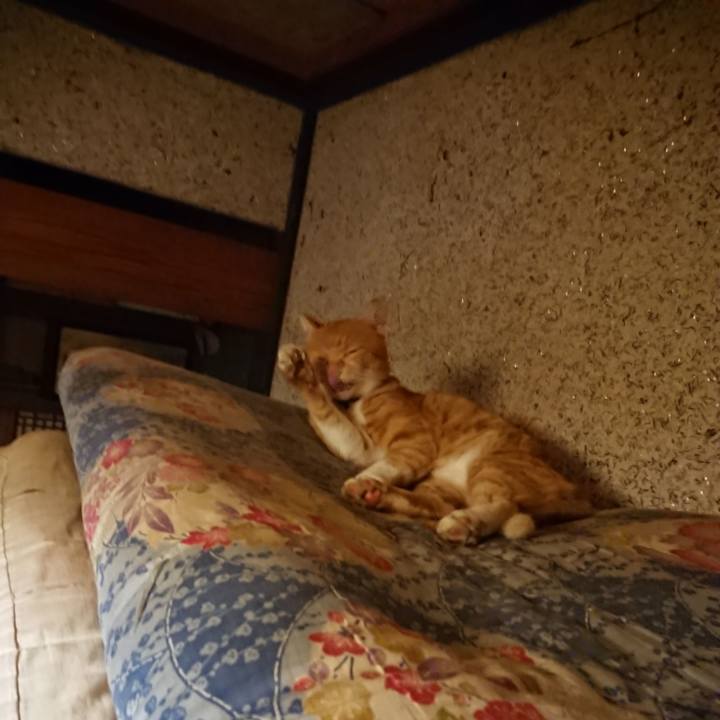 6c68c51f 27cb 4cc1 b690 216b6e18af14 1600606414981