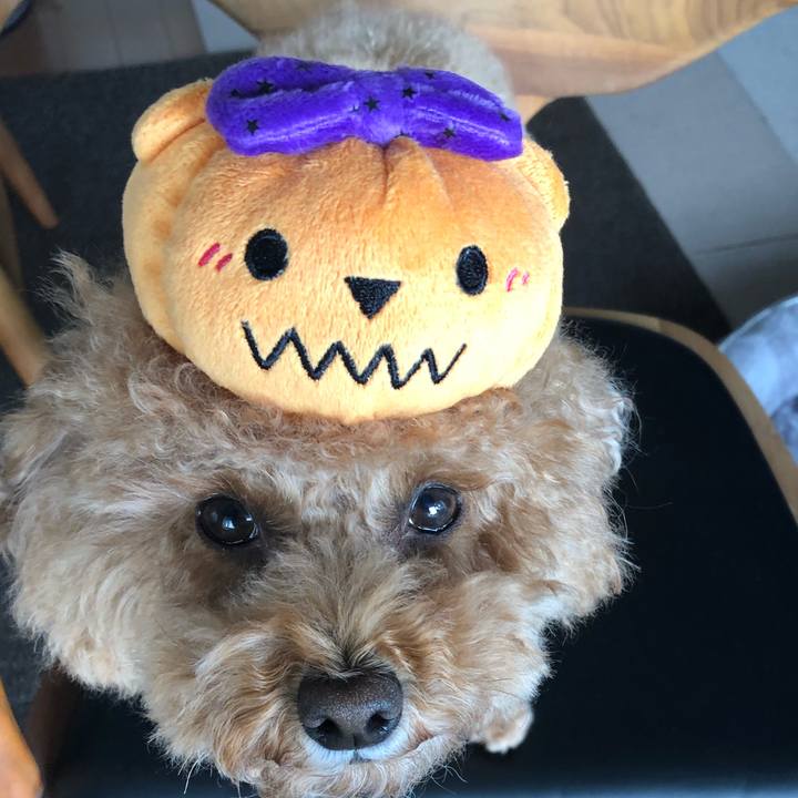 6c68c603 2995 42d5 9881 b2bf8a94cb33 1604049098828