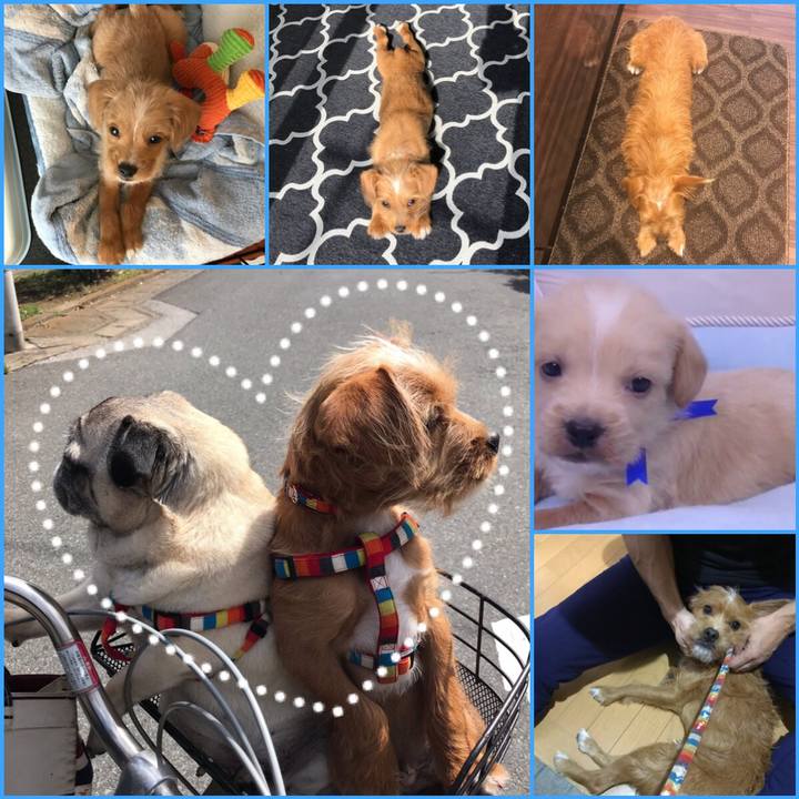 6c68c6b3 a50b 4f0f 8298 645e3c8bfb9c 1540854941230