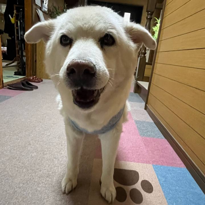 6c68caa2 bf78 4270 9fb8 51fd579a56b0 1760139507861