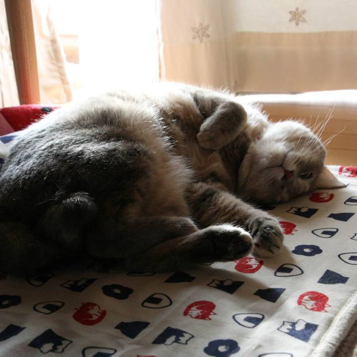 6c68f380 b80e 46c0 9600 c56db2da8f1a 1535268123347