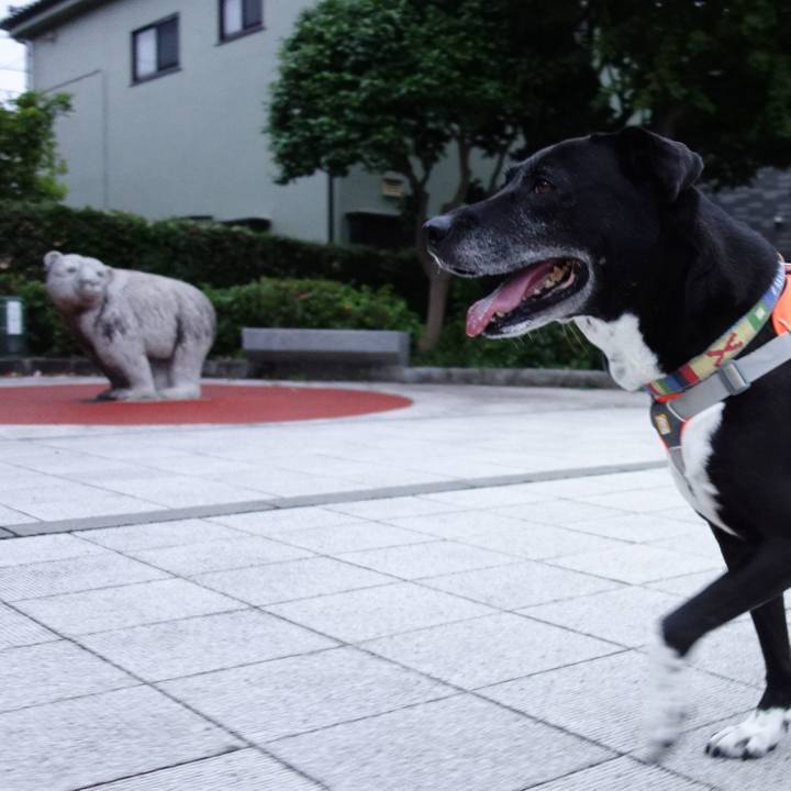 6c697a00 db66 4847 98c5 ef8f2a85384f 1719139421406