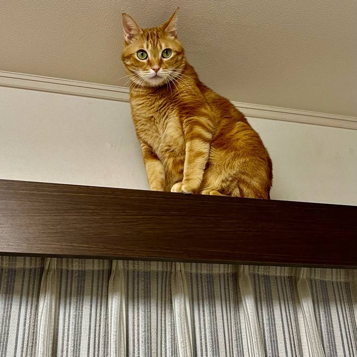 6c69c8fa 9da2 45d3 8101 bf2cf132f447 1640125122787