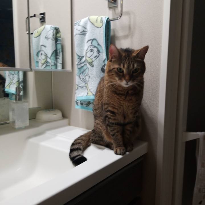 6c69cba5 11a0 43c8 8e6c cc574969195b 1581974884373