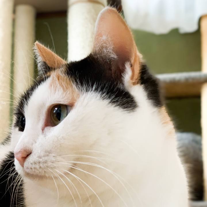 6c69dc8a ac2c 41ef 94e5 5725b6d92d8d 1547860931272