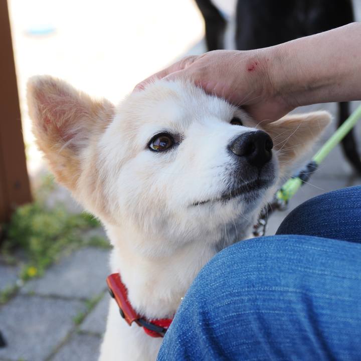 6c6a0dd9 ae66 4a63 8b7e 1337379daba9 1653276930762