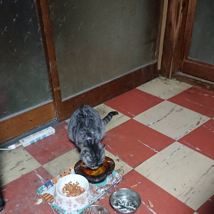 6c6ab0fa 1575 4e51 a188 577b057ab104 1582663981494