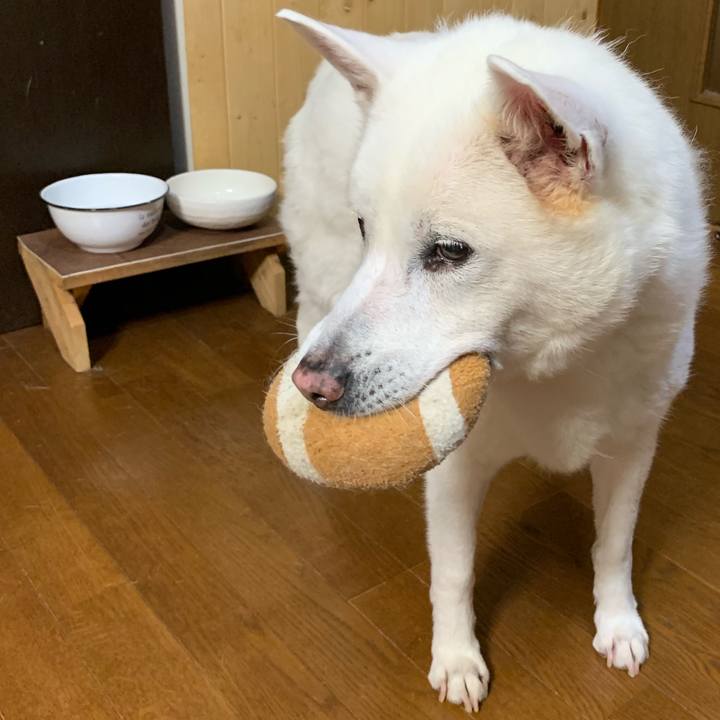 6c6adcdc f4cb 4725 80be 3b0b3a6d60c8 1567163902971