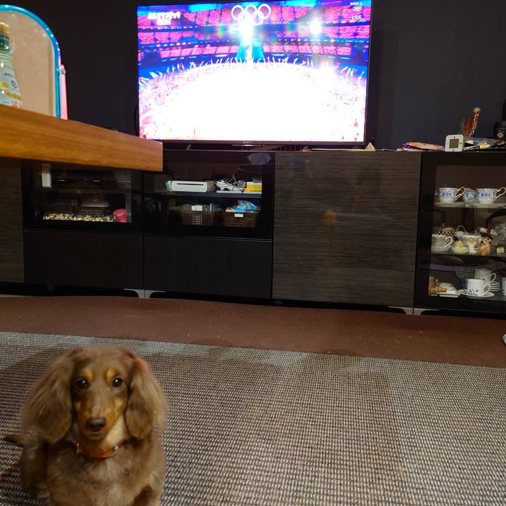 6c6ae257 0bf3 408f bb03 31103a4b0b05 1645364571112