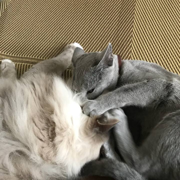 6c6aff0a d9b3 4bb4 a2f1 eb93bc082c12 1519565888412