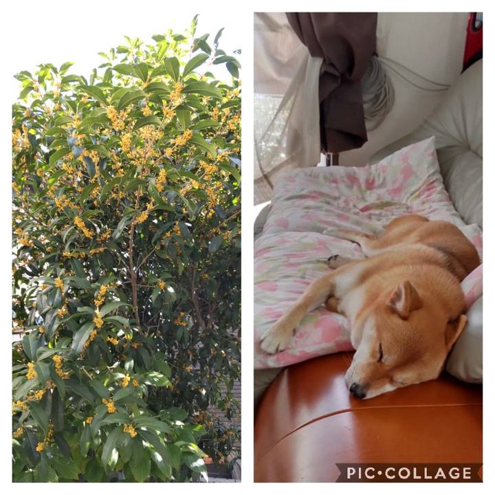 6c6b685b 65ea 4610 9221 73eb94065850 1665811106435