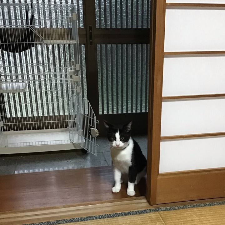 6c6b69b8 90f5 4552 bb52 e0ace0bfaa6b 1634075344712