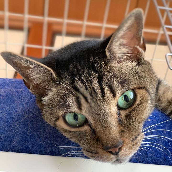 6c6b6c70 ea2d 4518 8469 65c84c952c9e 1595810944141