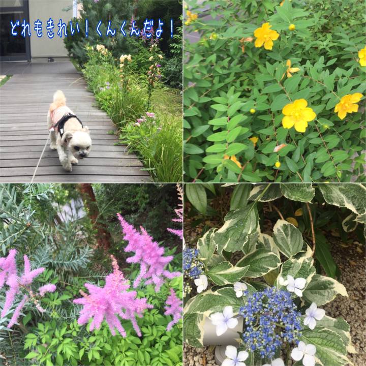 6c6b9501 5d7a 4538 bf9a d93ed47f5874 1527506854086