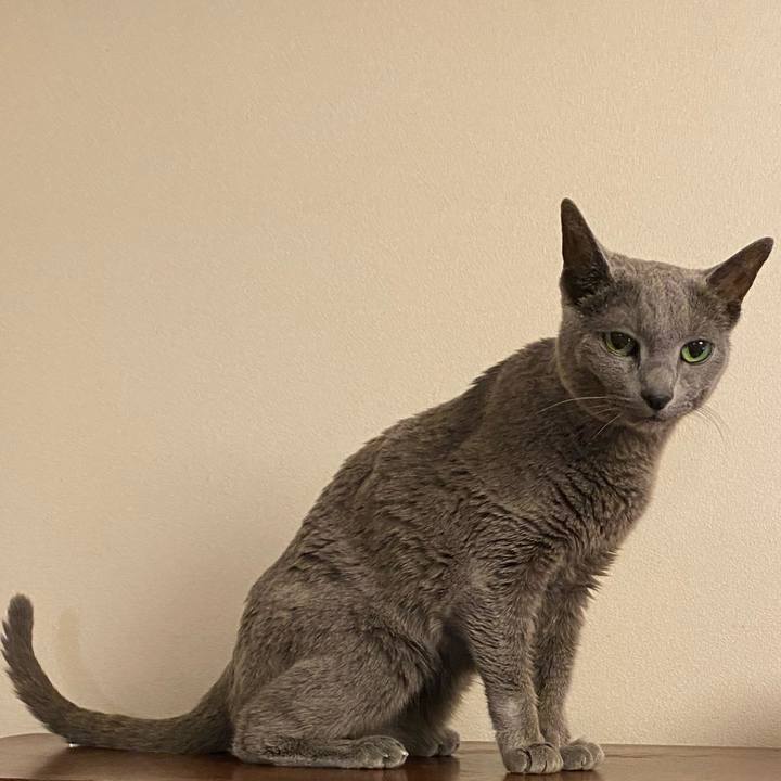 6c6bb092 8670 43ec 97ab ed7d72420e92 1605352426947