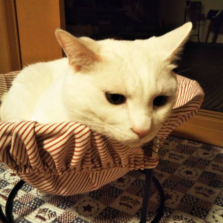 6c6be5b0 64d9 4c42 b7b9 f2859d5ff6d2 1568631463493