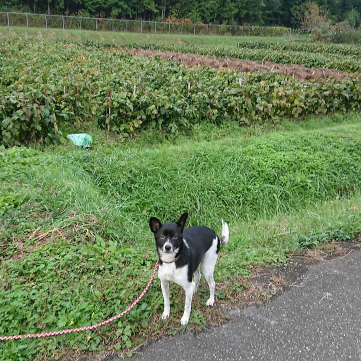 6c6c2b45 d4f4 4a55 bbf8 d2cb614ccf9f 1572391928080