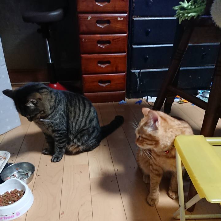 6c6c73b1 b99f 47d3 90f4 5010be432096 1642800142041