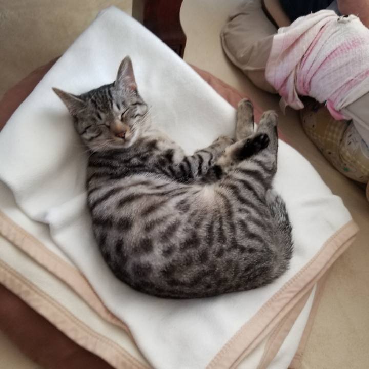 6c6c73cf bfe4 4b0a a2d5 781f59d88a55 1677938952655