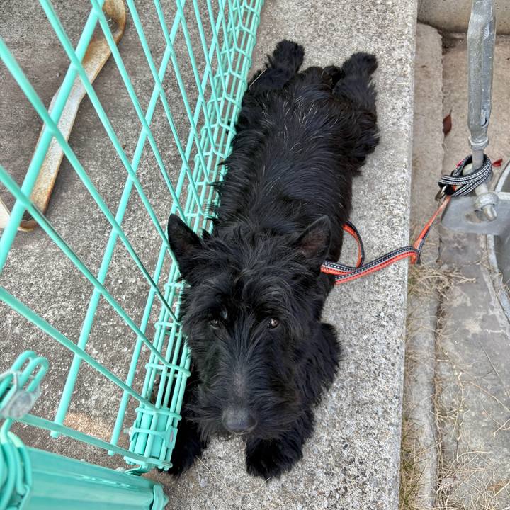 6c6cbb05 12f9 4c6d 8bea 2d2a6de82a89 1774765806432