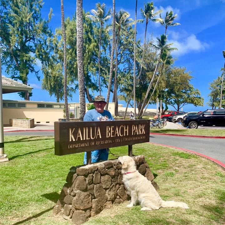 6c6cc0e7 39f7 4688 82e0 eddea950ef4d 1563768254755