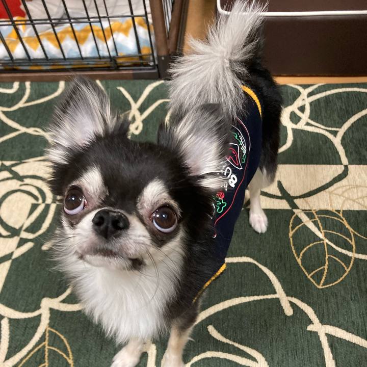 6c6cc366 8fdb 4a8c b3a7 6b3b4d4a43d2 1647698599212