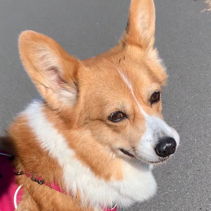 6c6d1dce 4fd6 4f73 9ab2 9eb0f9f263b7 1638069134523