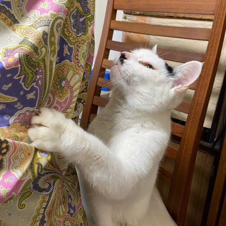 6c6d1e92 7ded 4157 8feb 46aa39b6ac22 1701787077529