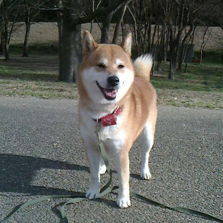 6c6d80a8 2291 4a53 836a dce8952cb210 1513335901549