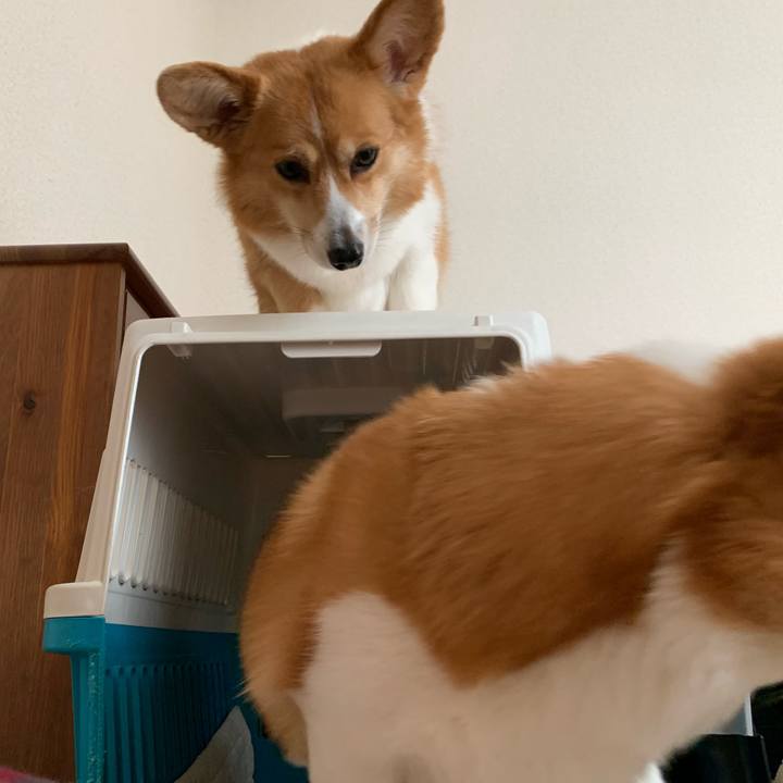 6c6d9430 f1ab 445d 9767 a1baf2cae339 1578976788581