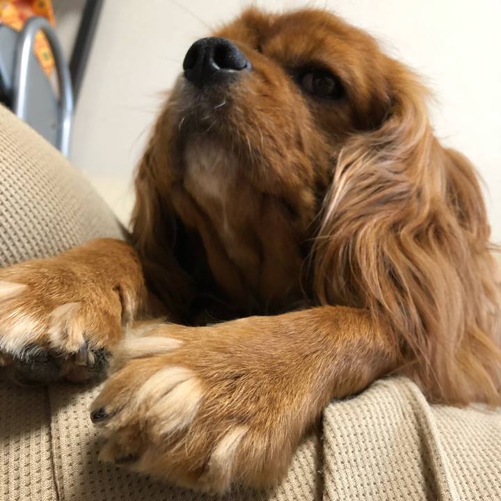 6c6da60b 05cd 4f61 800b 4b81e331258f 1592093948236