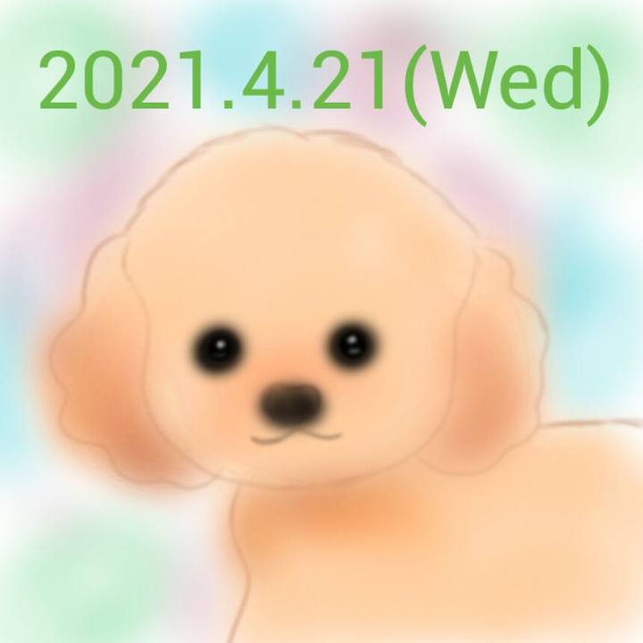 6c6db8ae 90c4 4dc9 ba43 1616c290ee2a 1619006109184