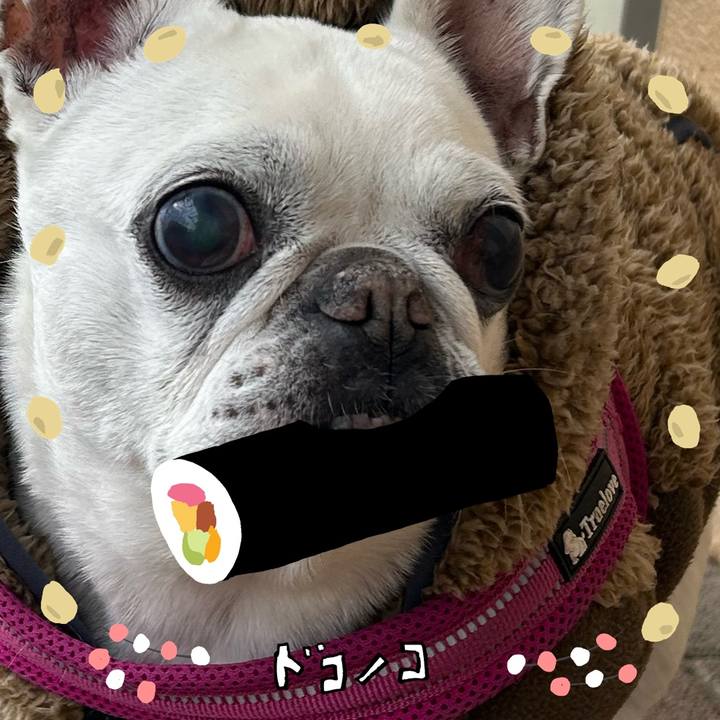 6c6dd784 e9c2 45a2 b0eb e1358241a053 1741084382344