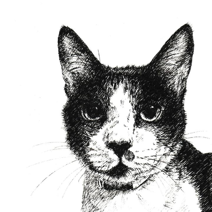 6c6e2821 4b16 4684 bba0 70f8f5af411f 1614522535718