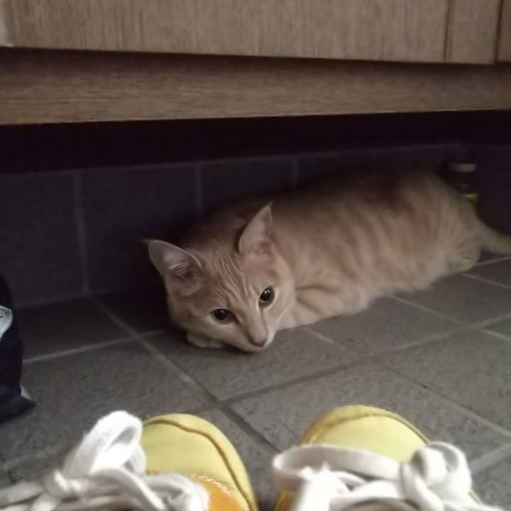 6c6e3163 29fe 4eb0 adf7 de1701c48fa6 1565219056763