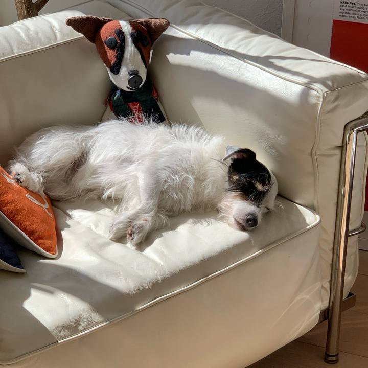 6c6e9bb2 c011 4ffe 9c27 d4661abb5fc8 1728706973364