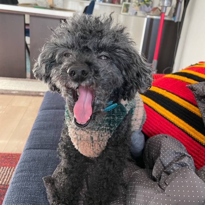 6c6ea9b3 61f9 46b3 8699 0756f060412d 1669071156208