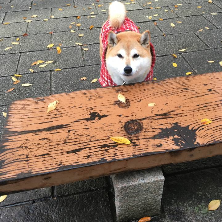 6c6ed5d4 7499 4c70 9670 edc442753b81 1607155142555