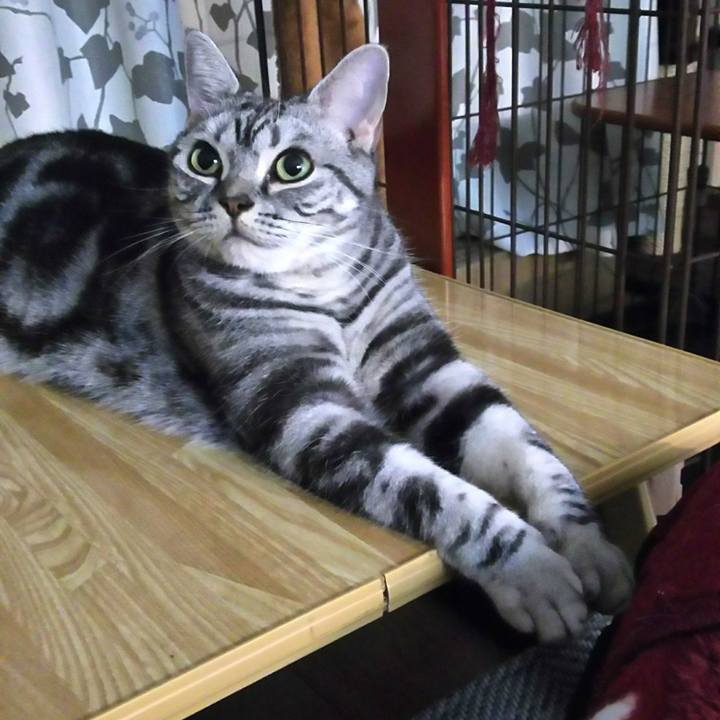 6c6ed9a7 8262 4f06 8344 863f5ec60fe1 1603107029304