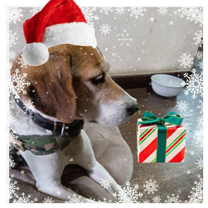 6c6f105c 01a9 4aa6 88ac 6a4f85abec17 1735113778995