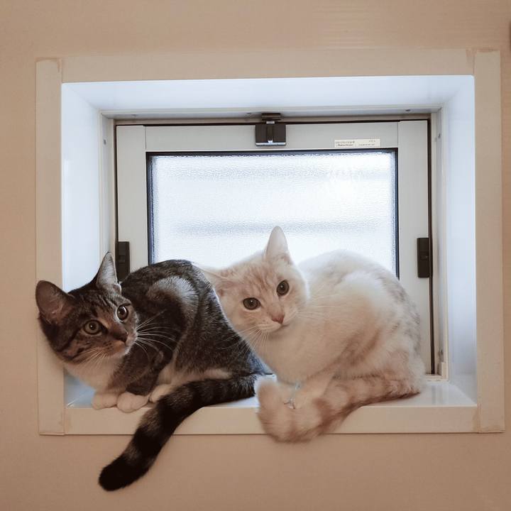 6c6f2e56 4e95 4306 8ee7 7a7a0f63c564 1642286915974