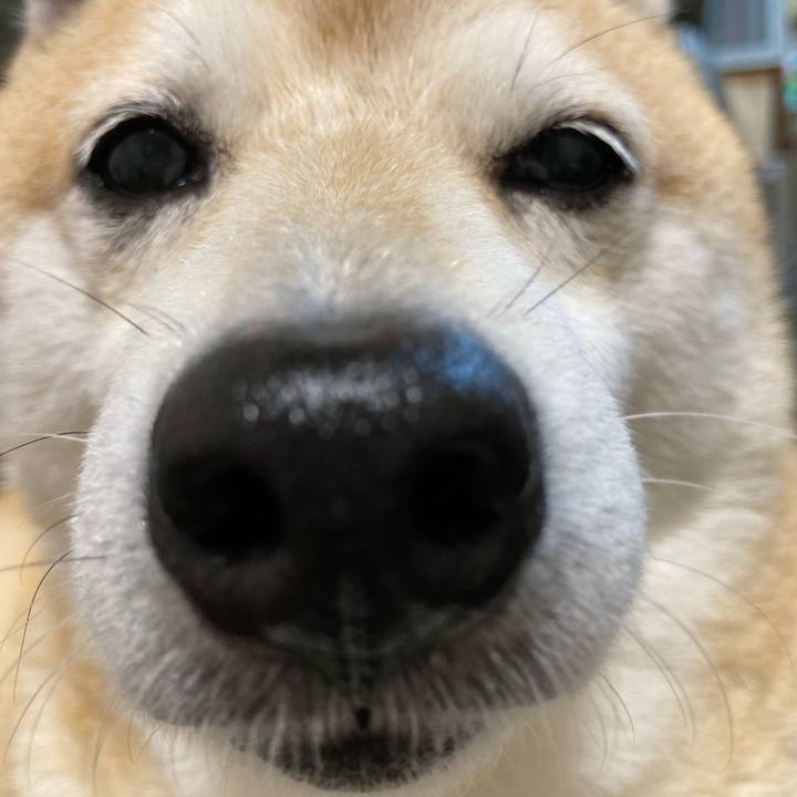 6c6f57b8 4543 44a9 81bc c492088b968f 1633169610763