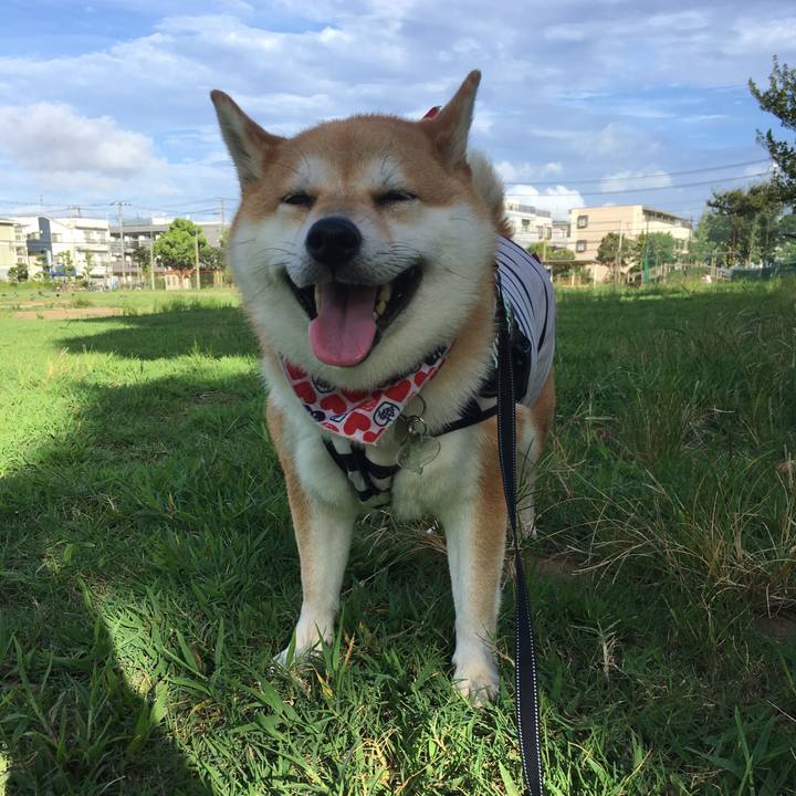 6c6f5caf ef7f 4d00 849c 0862a1a8ee45 1534379410598