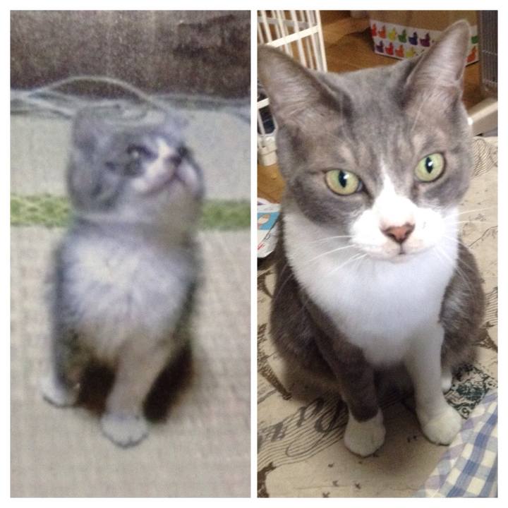 6c6f7d23 1e46 40d5 b1e4 81bfd7d51922 1526824652929