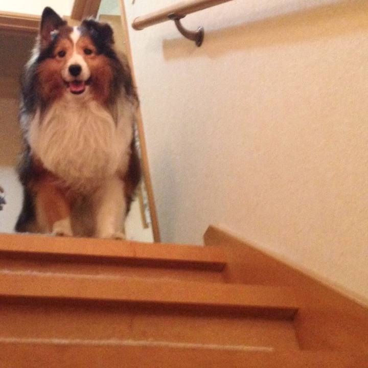 6c6fc77b 4d2c 4072 8012 fbcf08b542b5 1762502499206