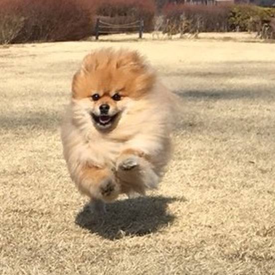 6c6fcfe5 6d0f 4b4e 8108 a056d611ddd1 1518987852779