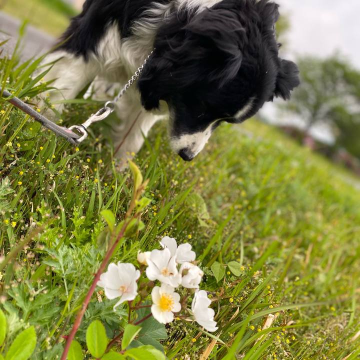 6c6fef5e 5d4d 4f23 8624 89548982cdc8 1650495793196