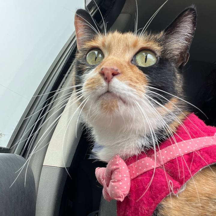 6c7014af a6a7 416f b70e 3282d5be50f6 1655797070906