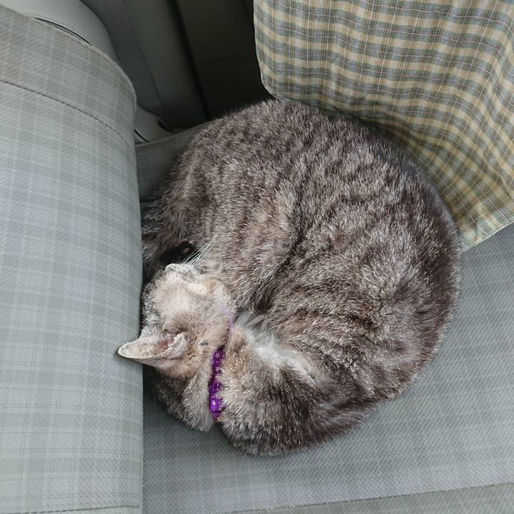 6c7025f5 431e 493b add2 39762f5d6461 1592090787936